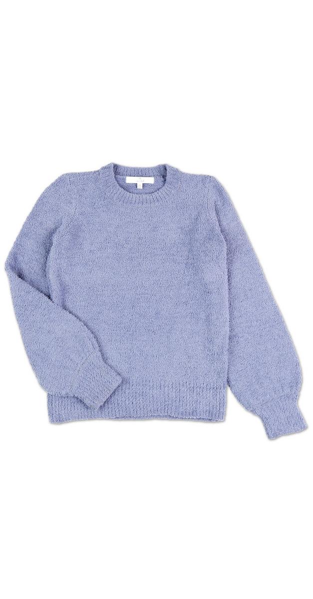 teddy sweat shirt