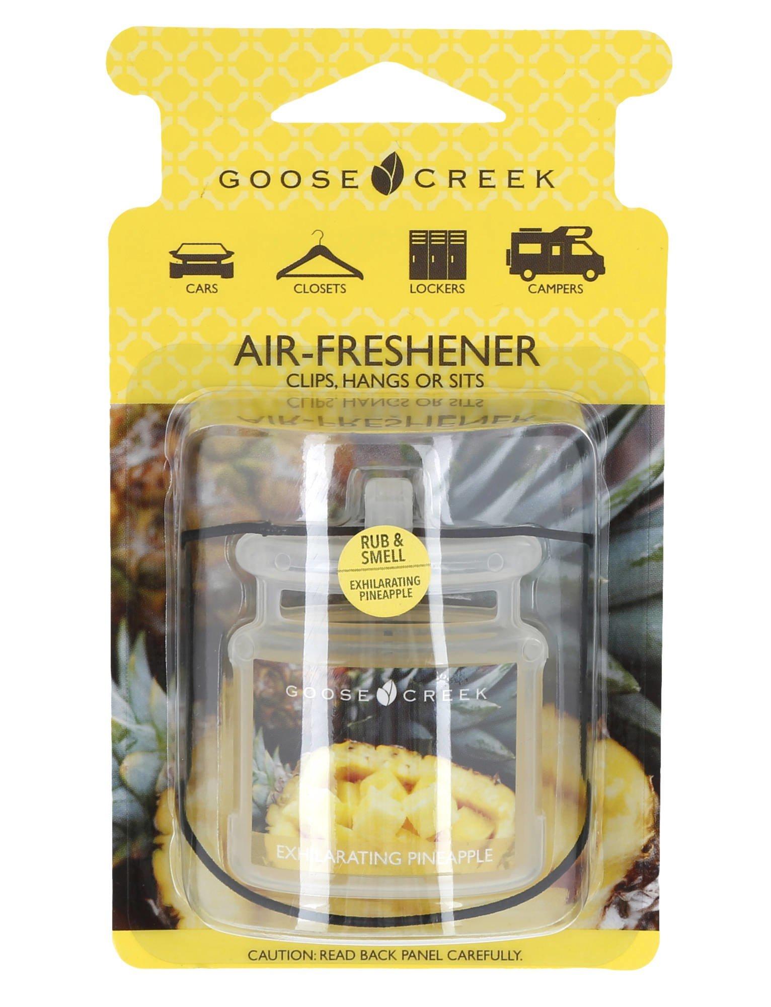 Exhilarating Pineapple AirFreshener Burkes Outlet