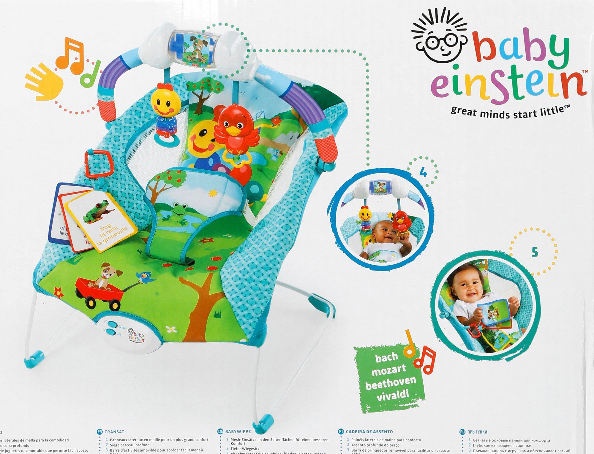 baby einstein caterpillar bouncer