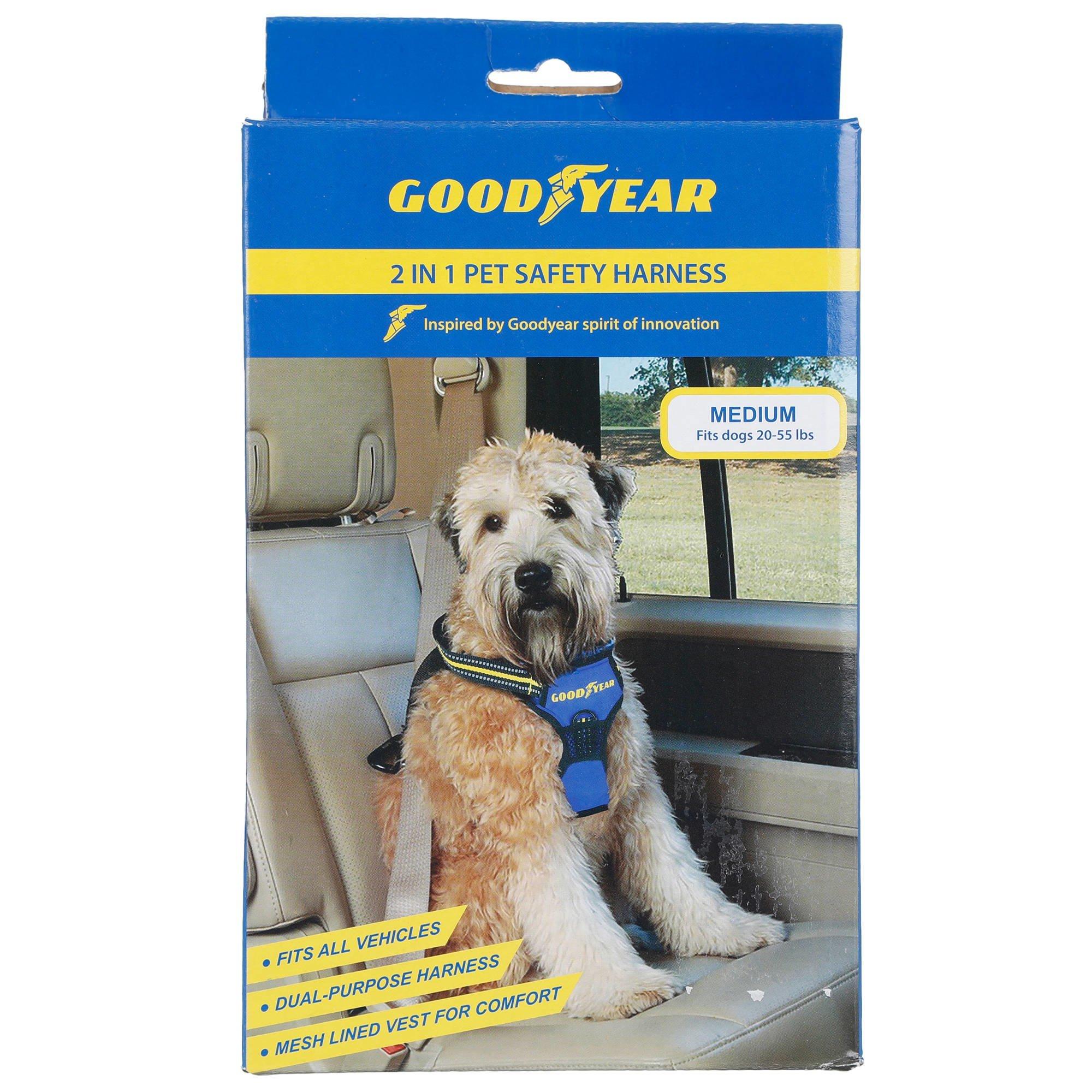 2-In-1 Pet Safety Harness | Burkes Outlet