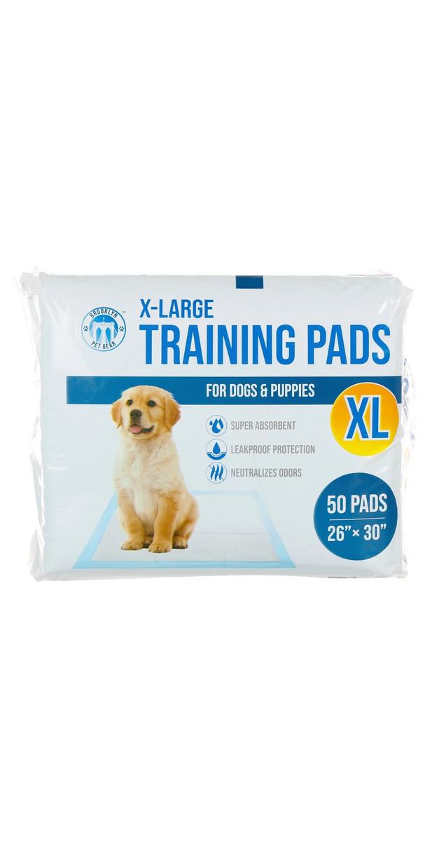 50 Ct XL Training Pads Burkes Outlet