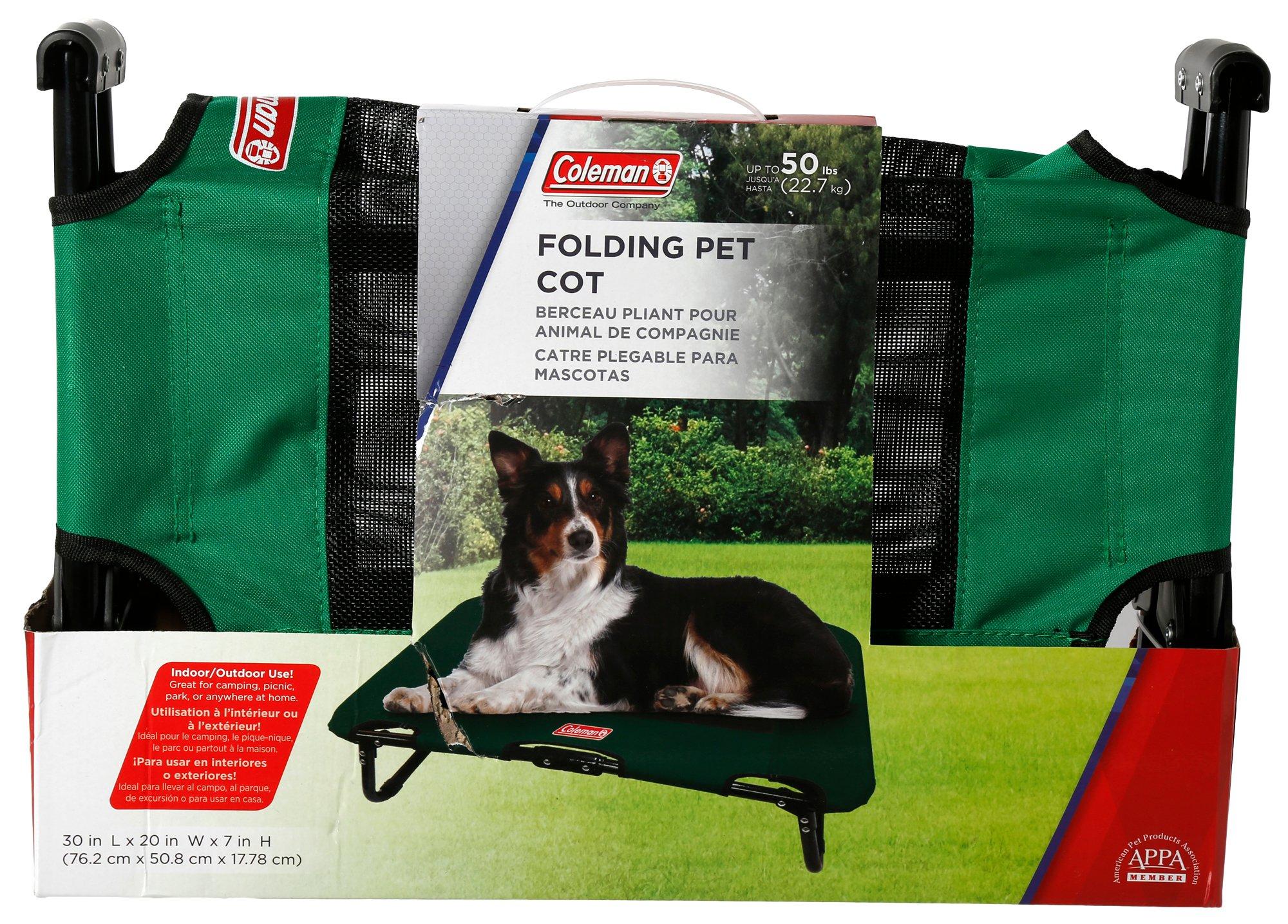 coleman folding dog cot