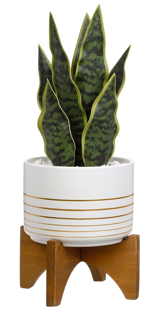 12" Faux Snake Potted Plant Burkes Outlet