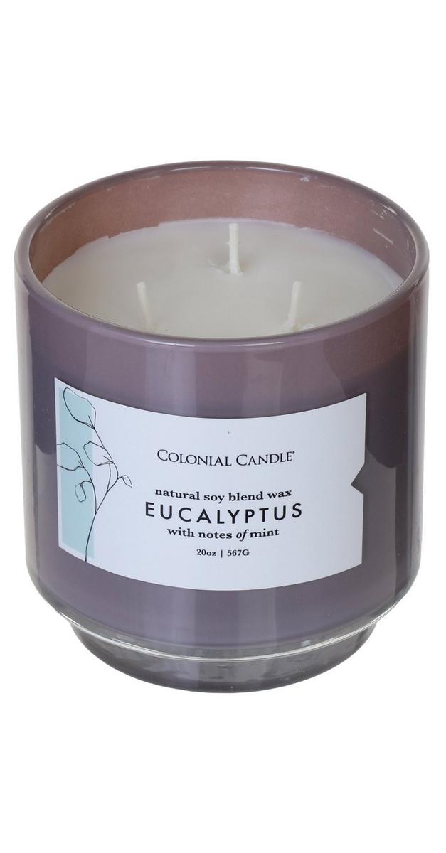 20 oz Eucalyptus Scented Candle Burkes Outlet