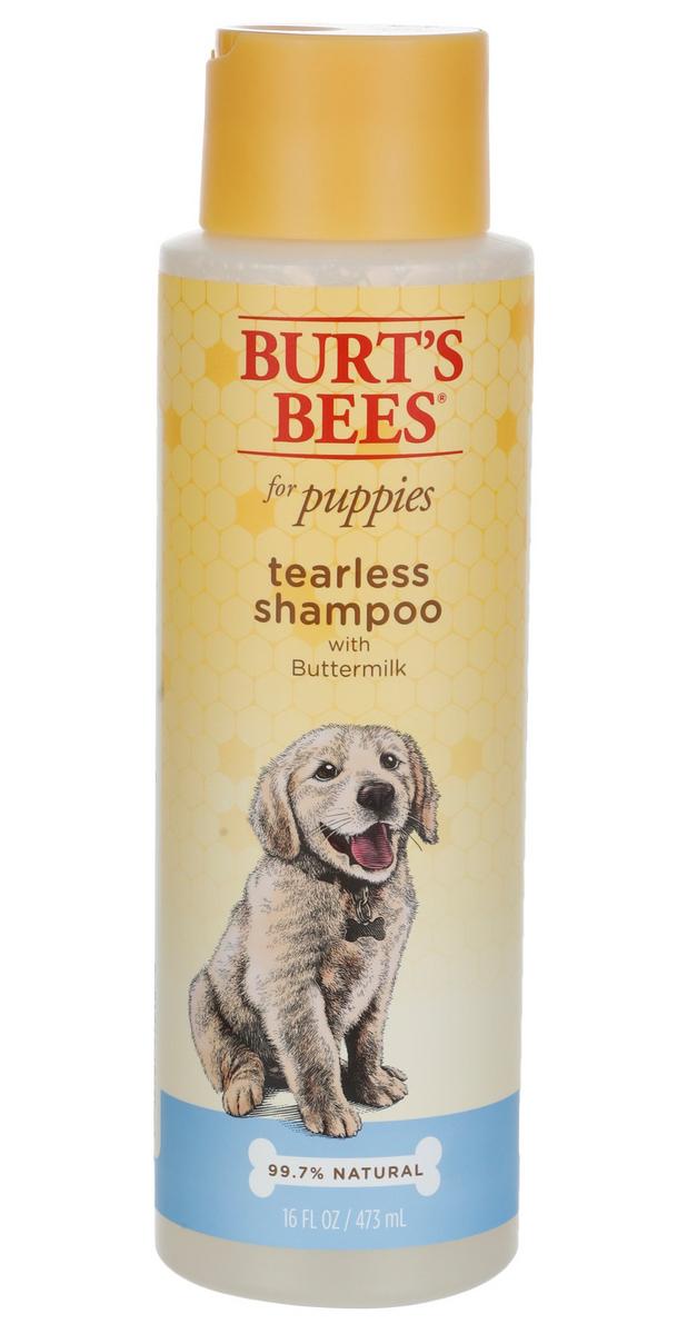 16 oz Buttermilk Tearless Puppies Shampoo | Burkes Outlet
